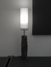 Ivy_lamp2.png