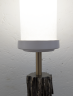 Ivy_lamp3.png