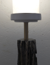 Ivy_lamp4.png